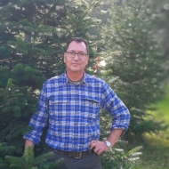 Weihnachtsbäume Prümzurlay